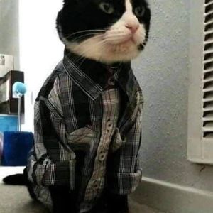 Meet your Posher, Garrett